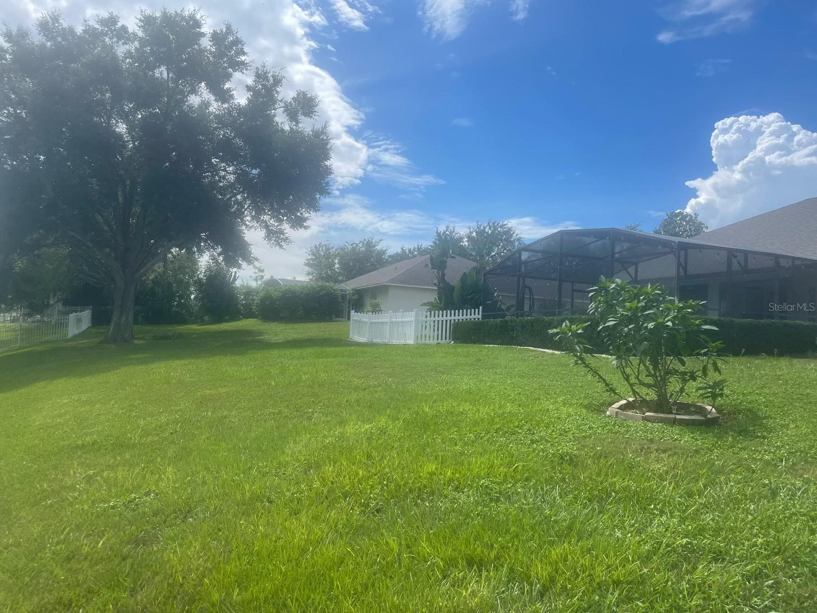 Backyard - 11413 ALAMEDA SANDRA DR, CLERMONT