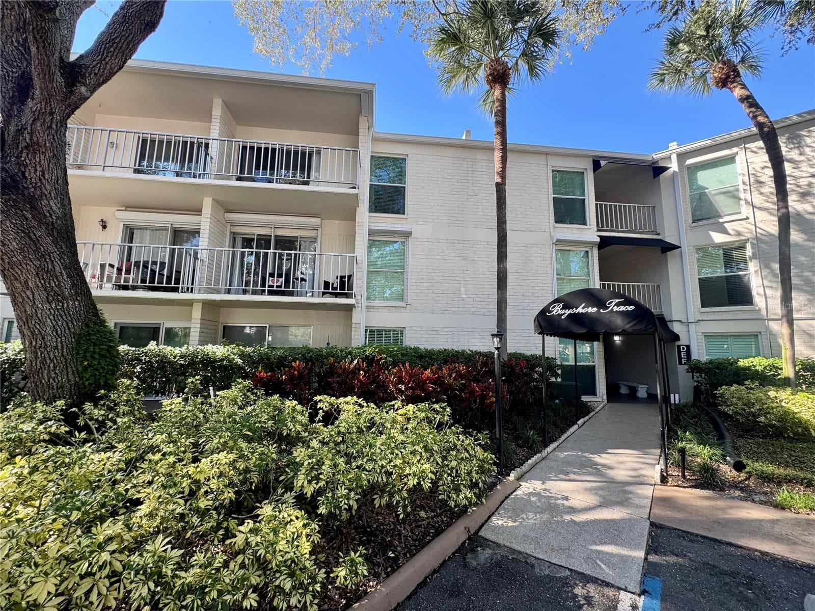 3325 BAYSHORE BLVD #F31