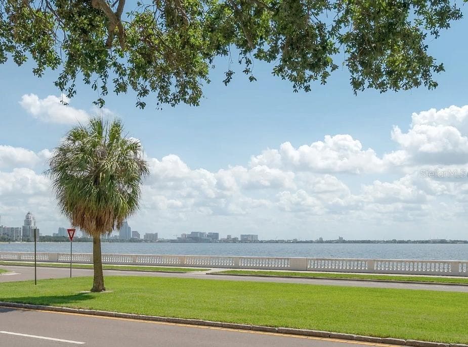 Condominium at 3325 BAYSHORE BLVD #F31, TAMPA, photo 2 of 27