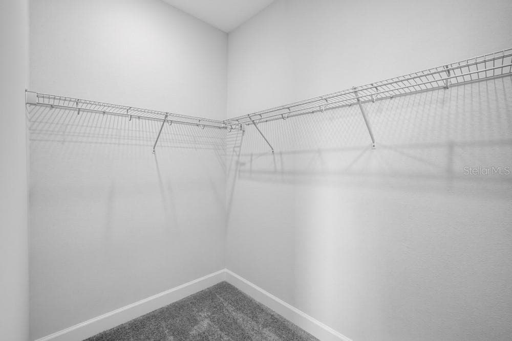 16212 Alpha Grove Place ~ Ready Now! - 16212 ALPHA GROVE PL, ODESSA