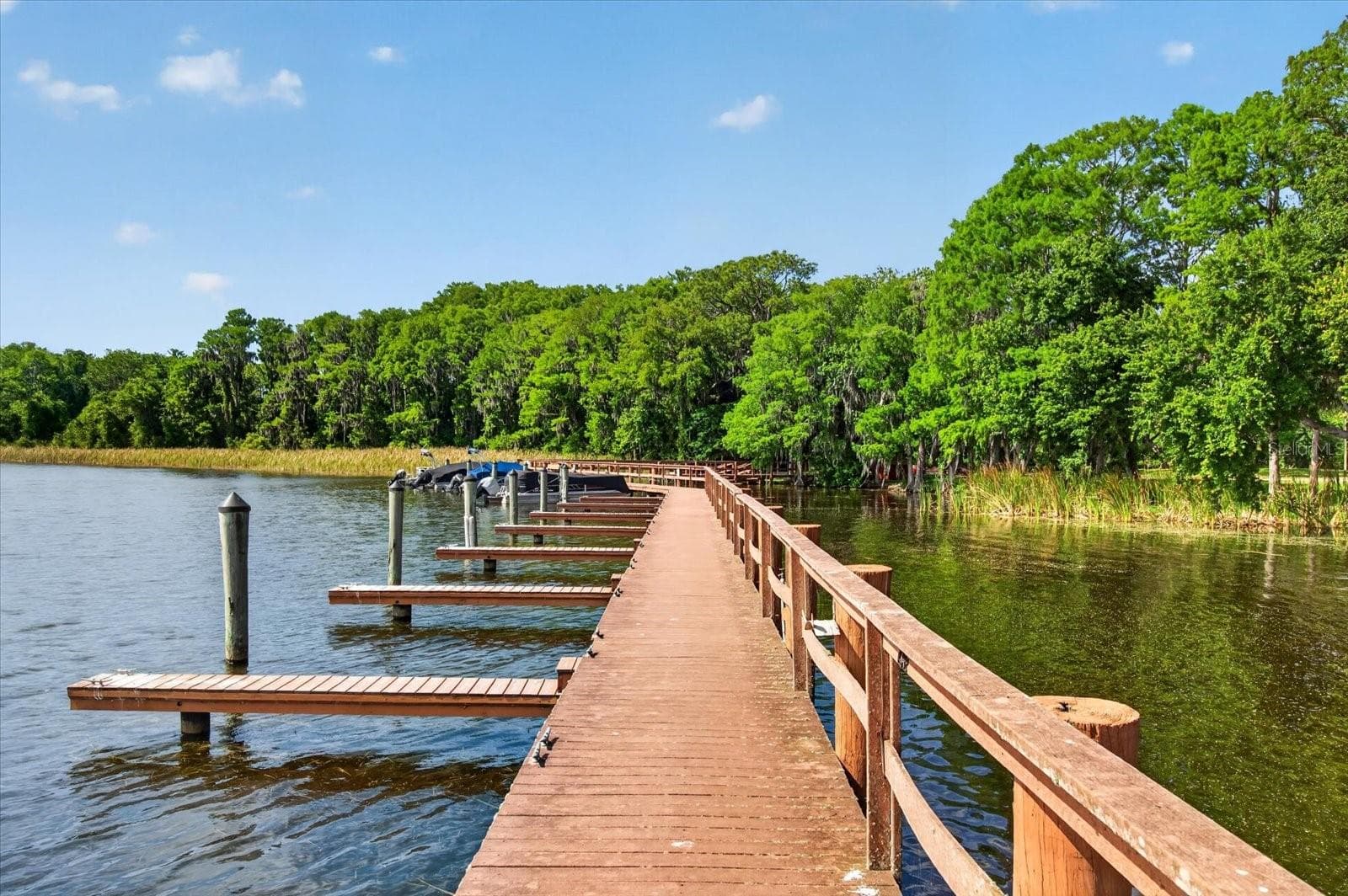 Presidents Landing Marina, Slips can be leased for less than $100 per month - 3763 EXECUTIVE DR, PALM HARBOR