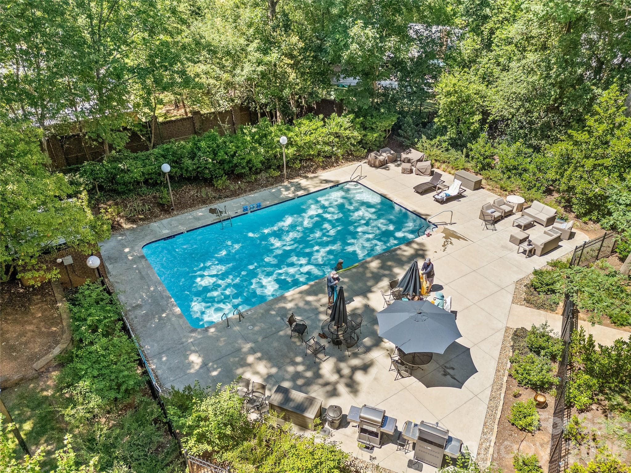 Pool - 922 Cherokee Road, Charlotte
