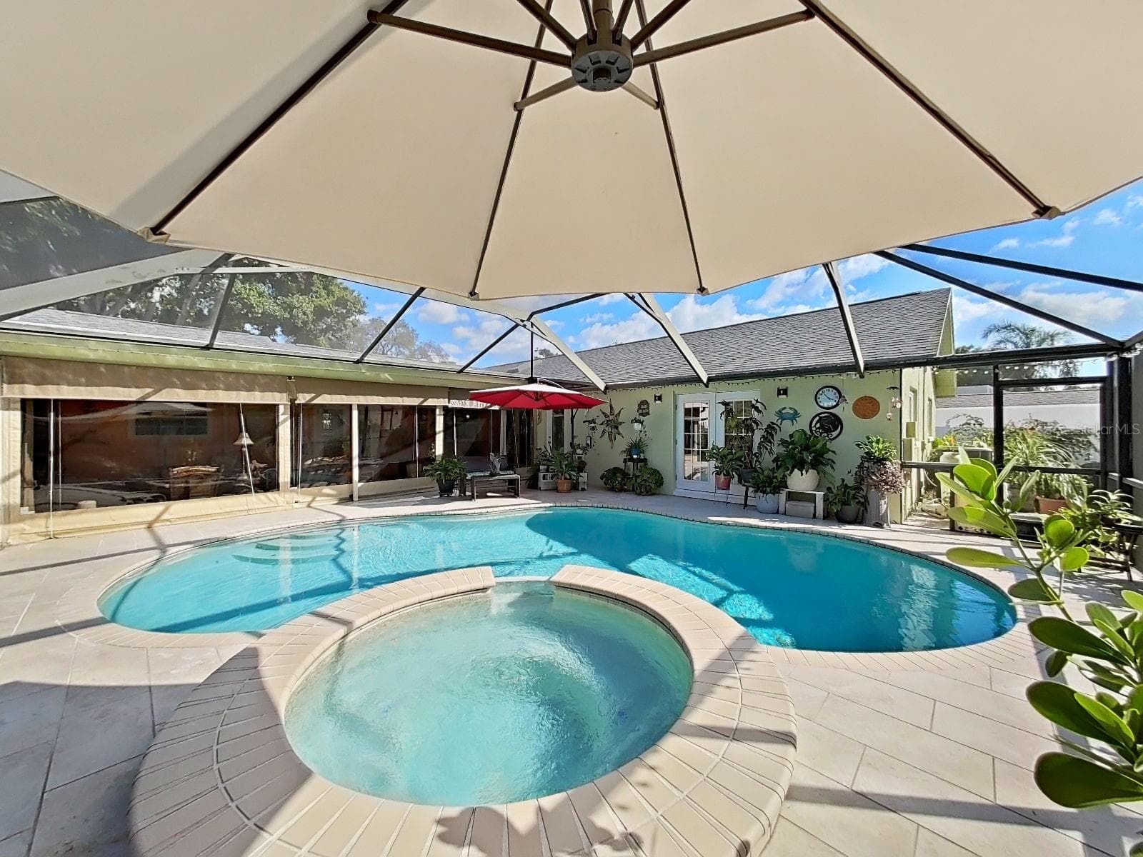 Custom Mickey Mouse Pool - 169 FOXCROFT DR W, PALM HARBOR
