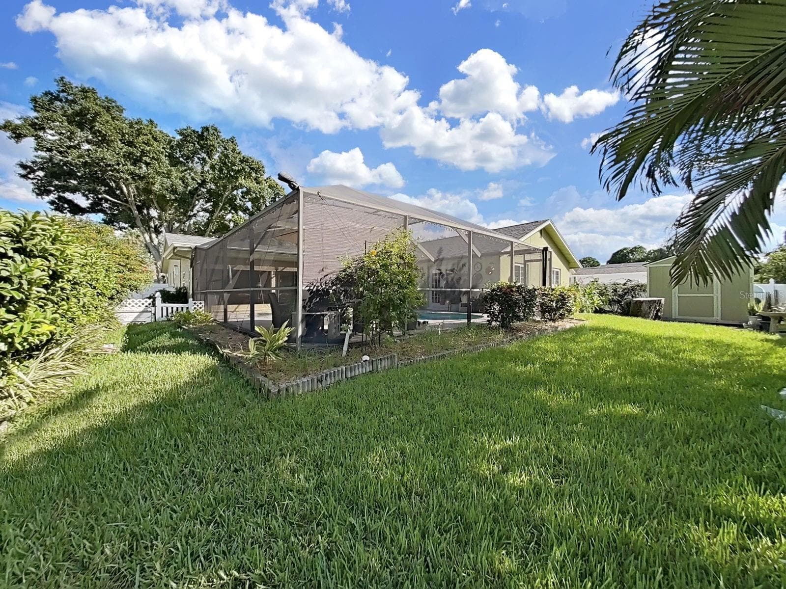 Backyard - 169 FOXCROFT DR W, PALM HARBOR