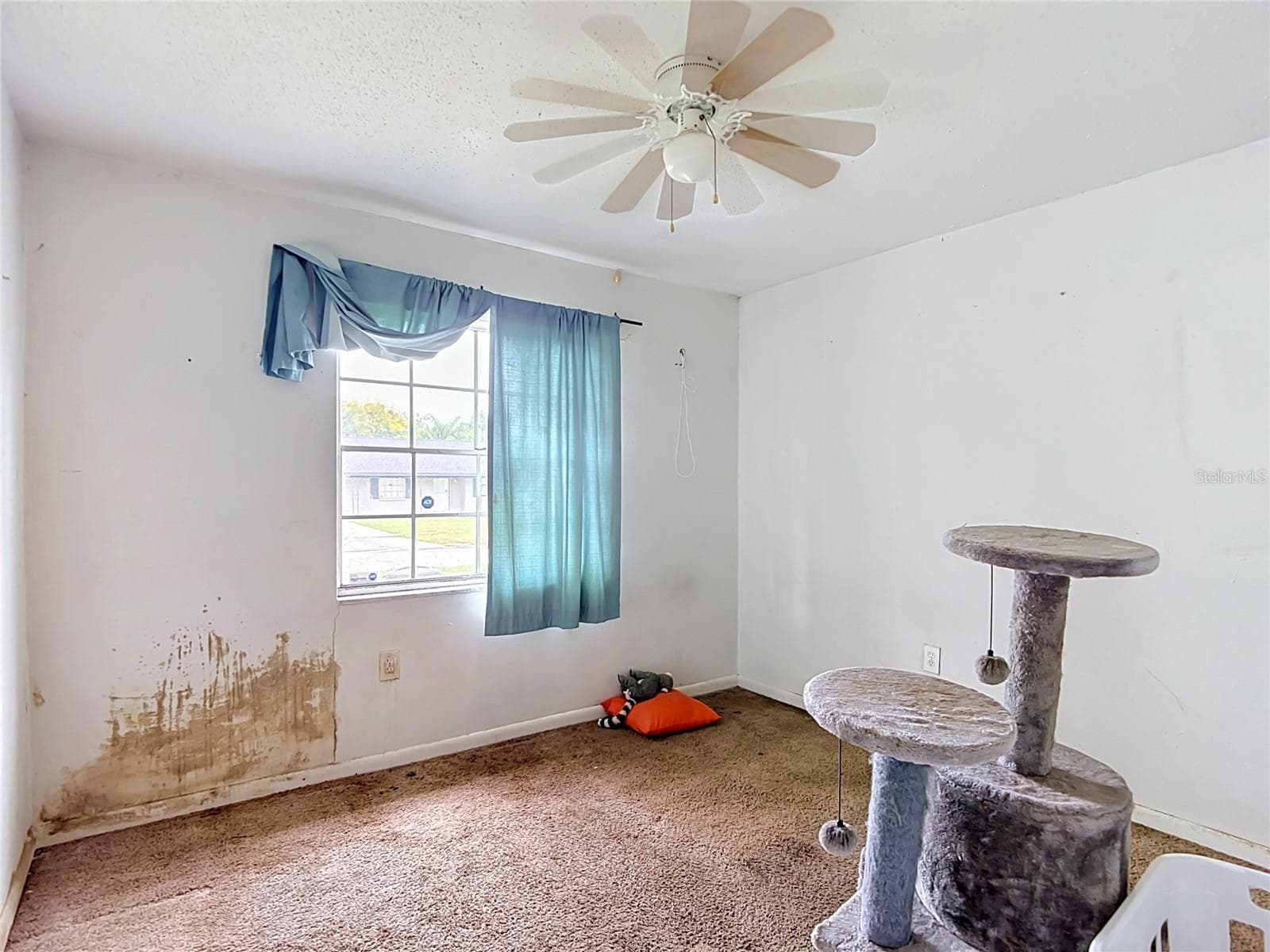 Single Family Residence at 7331 FILBERT LN, TAMPA, photo 22 of 47