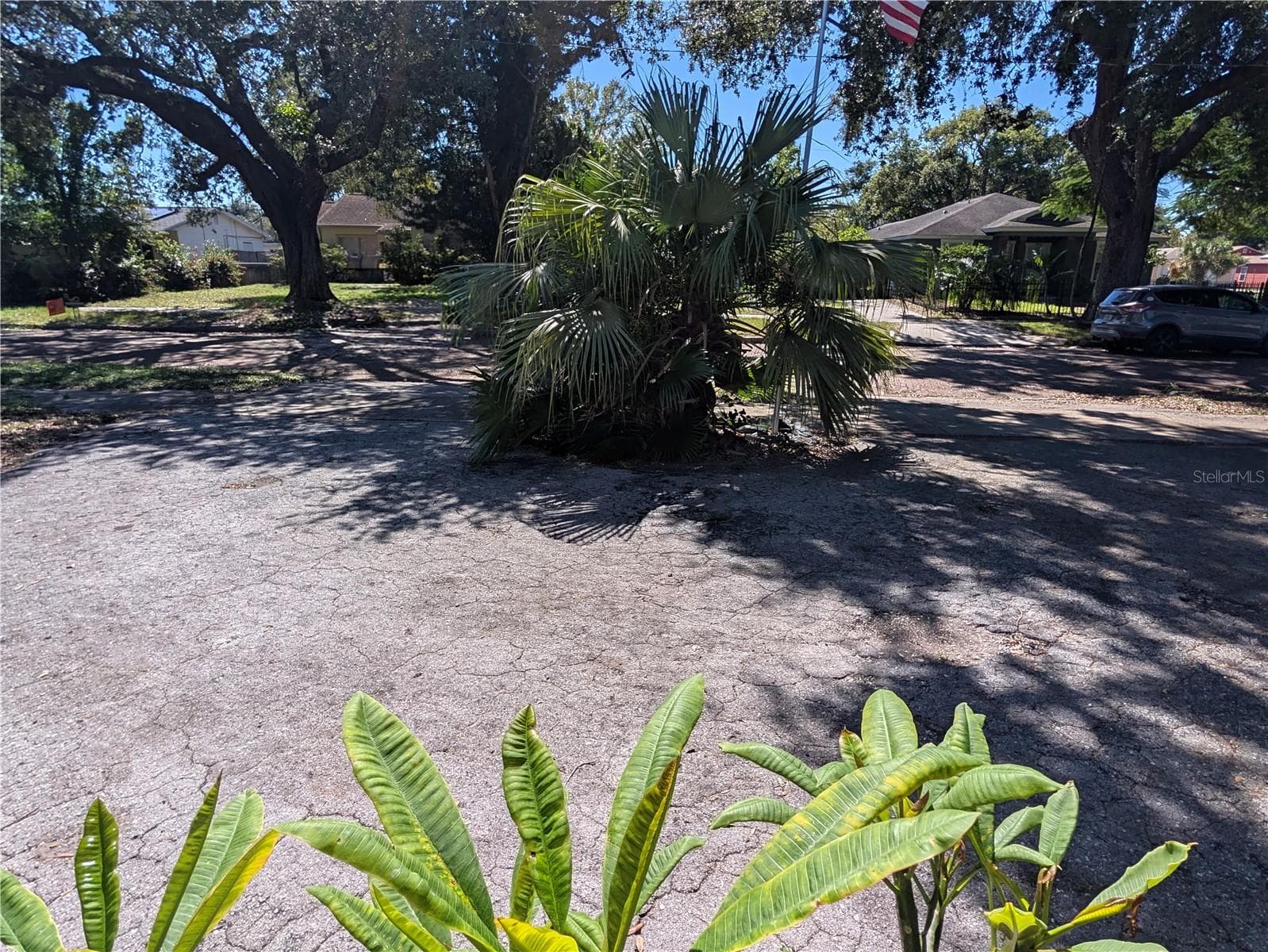 View of driveway and street from home. - 3545 3RD AVE N, ST PETERSBURG