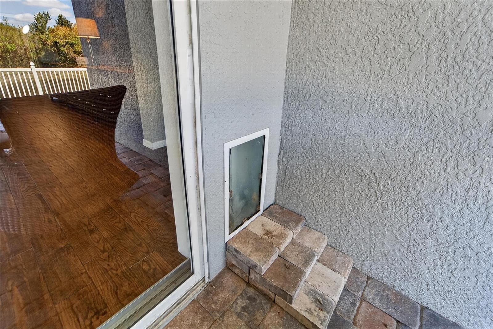 DOGGIE DOOR AND CAT DOOR! - 1750 LEYBOURNE LOOP, WESLEY CHAPEL