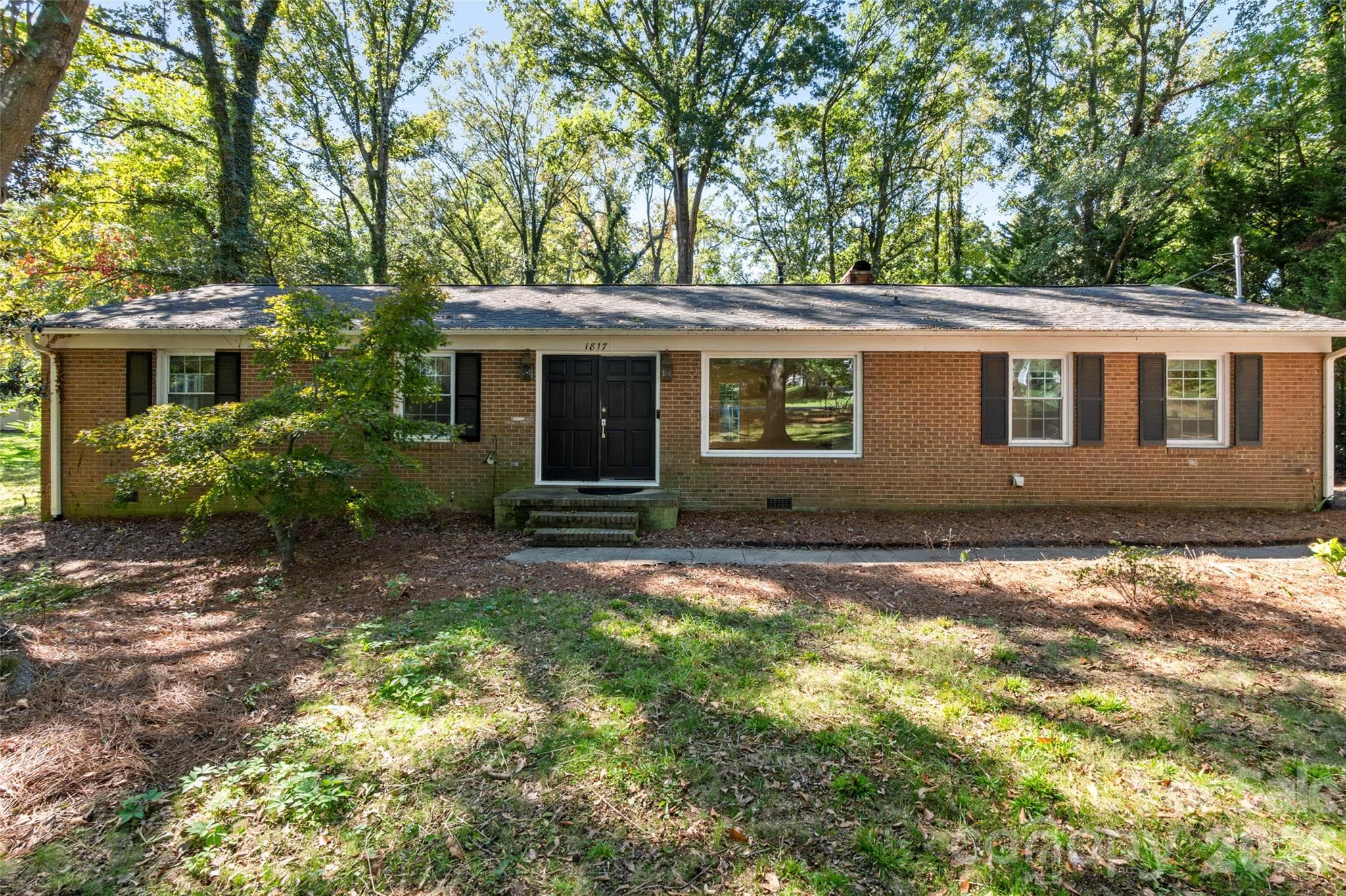 1817 Balfour Lane