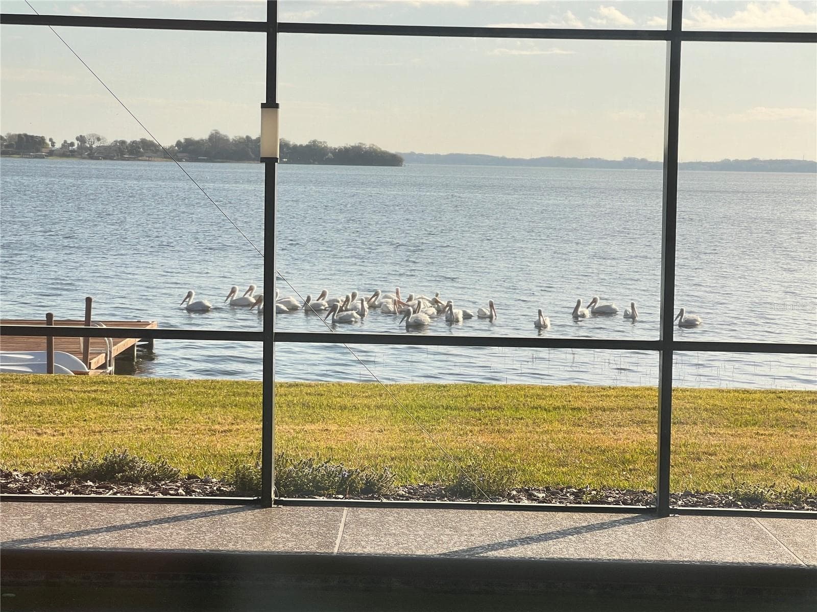 pelican visitors - 1416 MOSSWOOD DR, LEESBURG