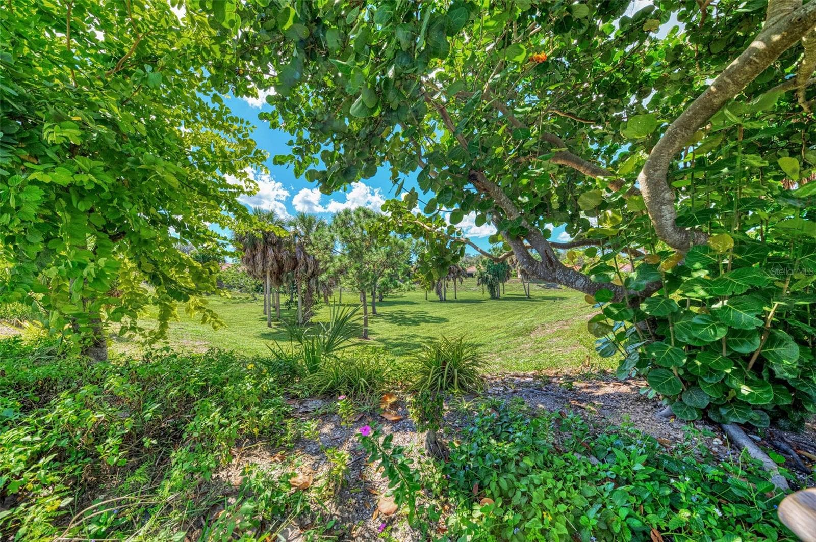 Single Family Residence at 219 RIO TERRA, VENICE, photo 58 of 77