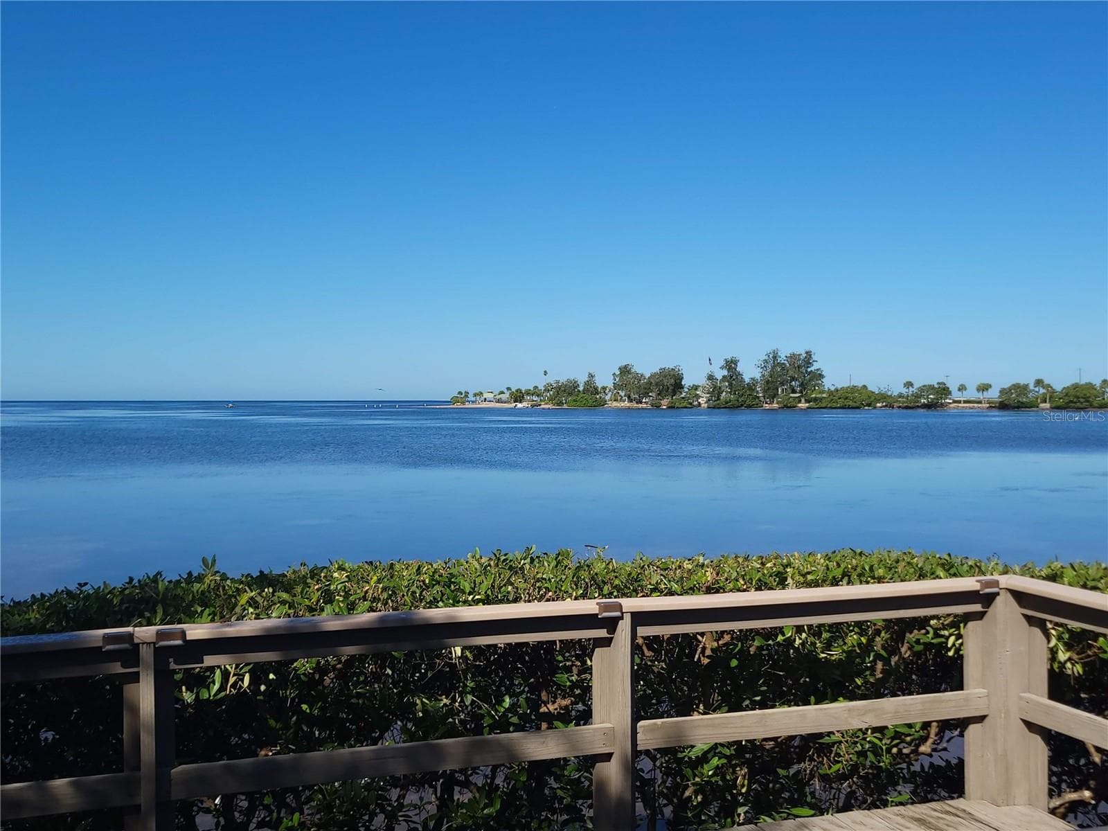 Condominium at 300 S FLORIDA AVE #100L, TARPON SPRINGS, photo 36 of 36