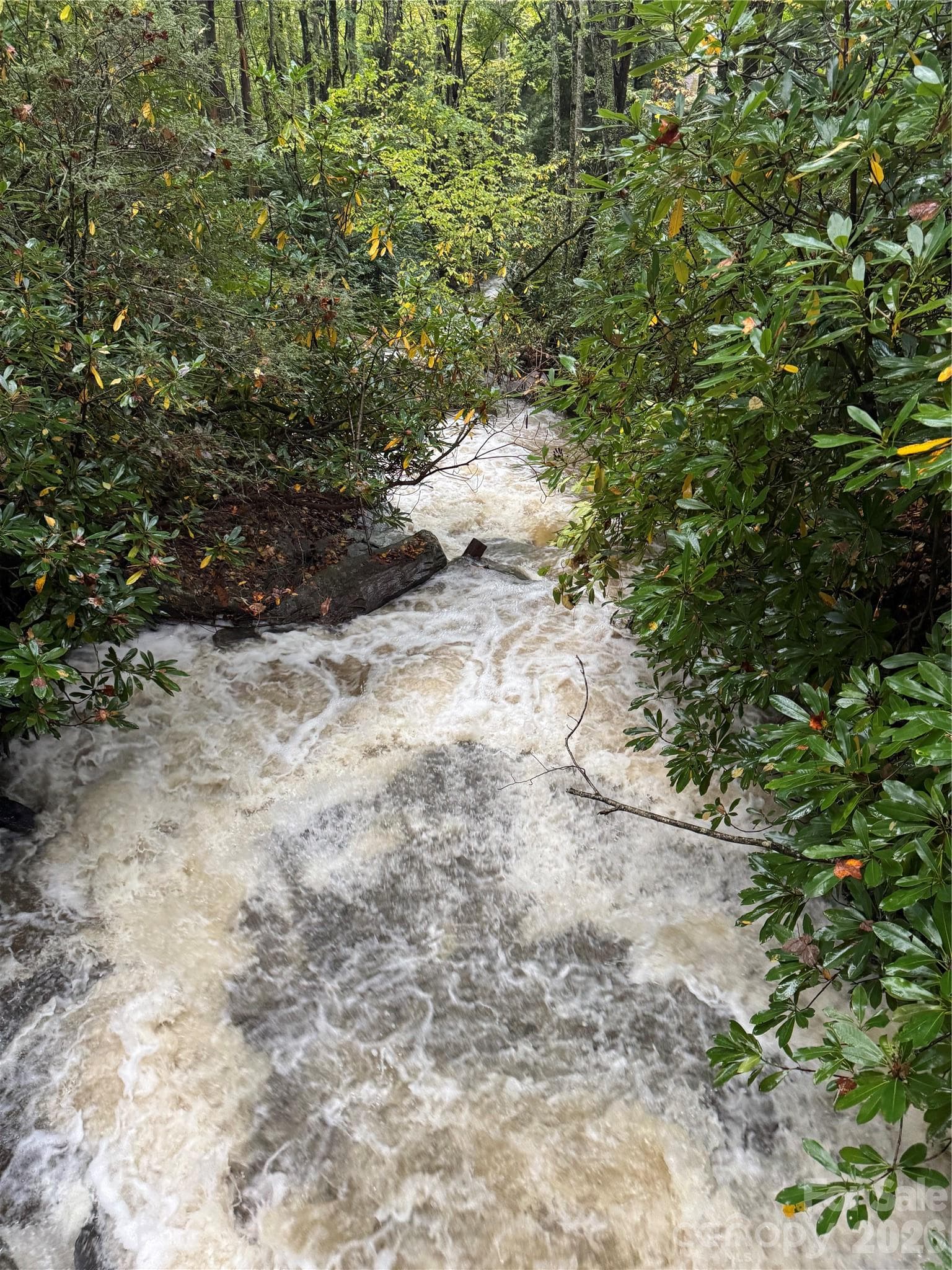 rushing waters after the rains! - 355 Oakley Green None, Boone