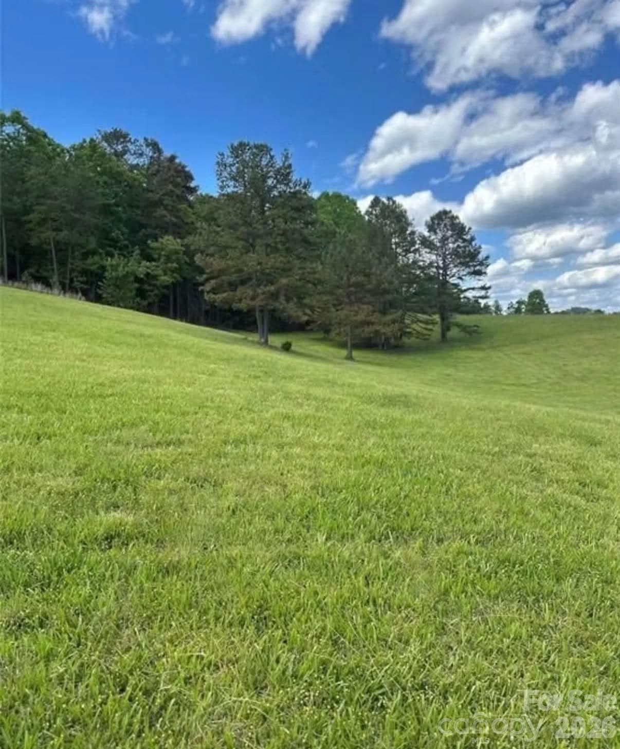 Lot at 91 Meadows Station Drive, Nebo, photo 13 of 16