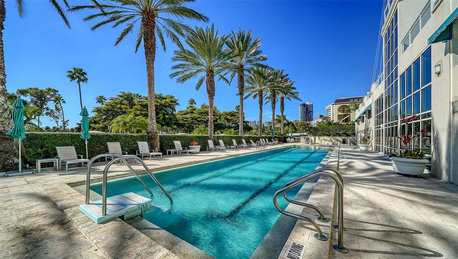 Outdoor Heated Lap Pool - 340 S PALM AVE #101, SARASOTA