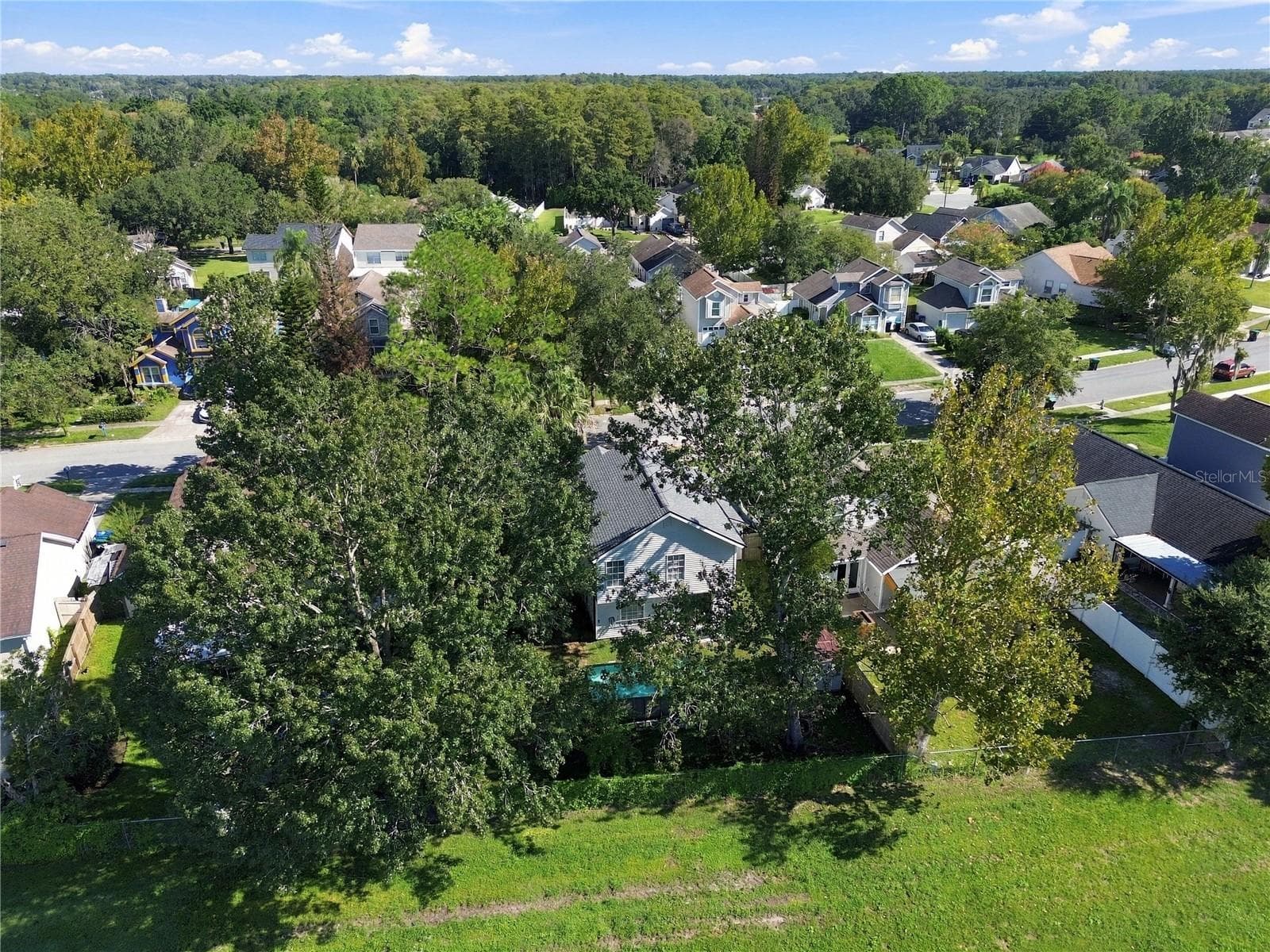 Aerial View Back Yard - 9914 SURREY RIDGE RD, ORLANDO