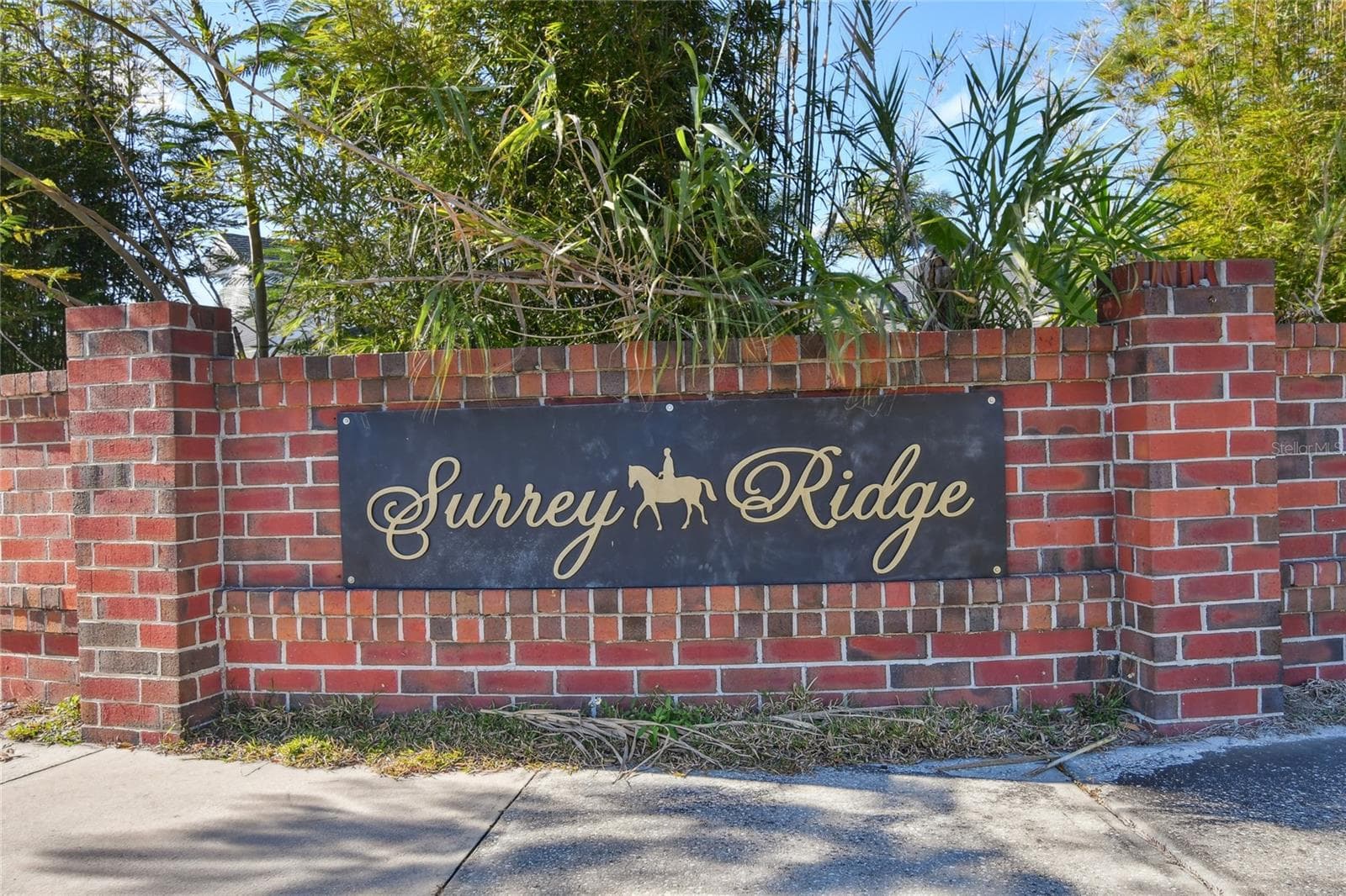 Neighborhood Entrance - 9914 SURREY RIDGE RD, ORLANDO