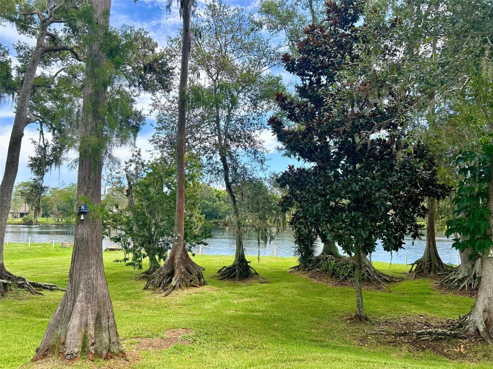 Backyard View - 2529 OAKLEAF LN #30C, CLEARWATER
