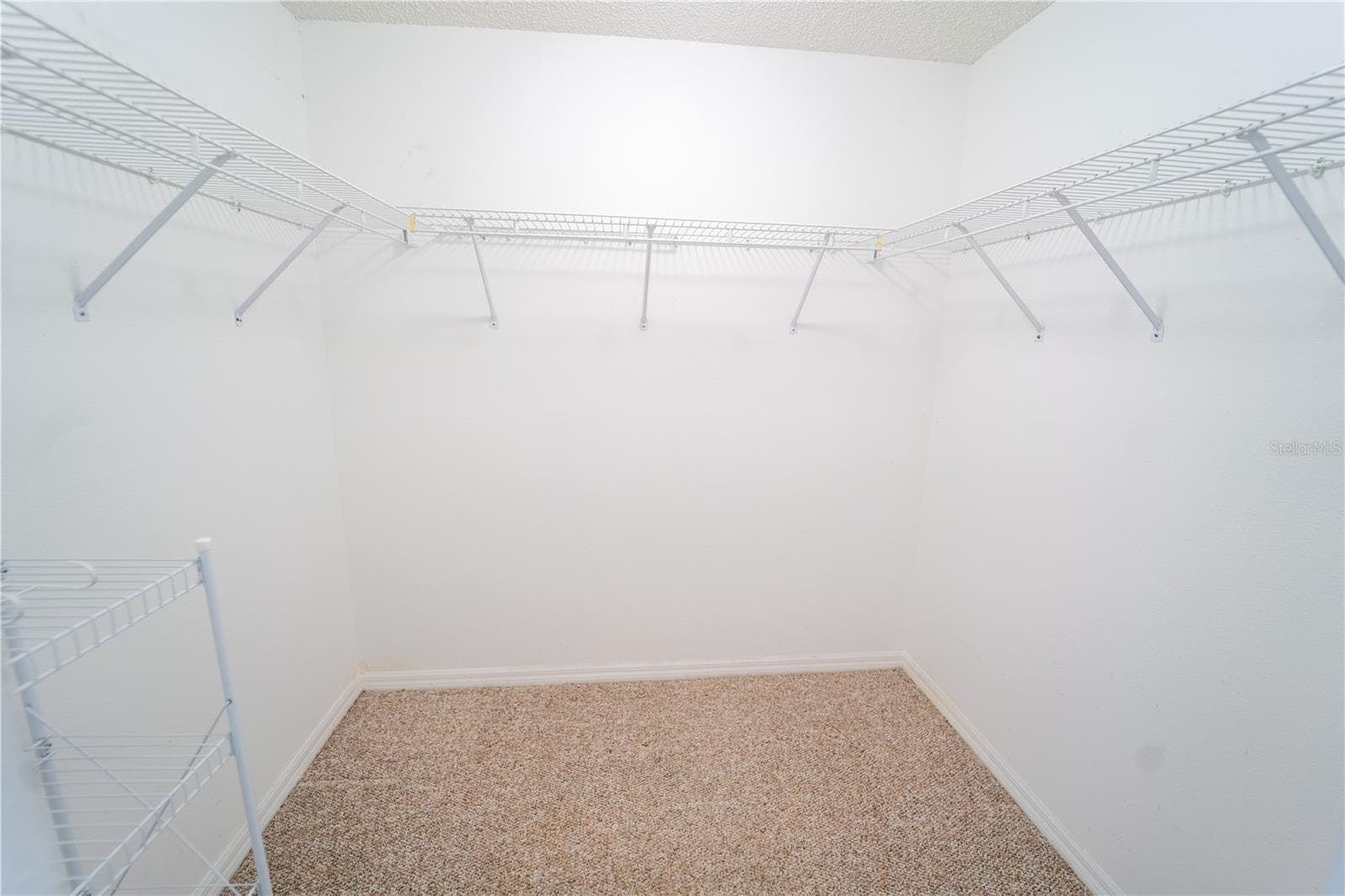 1 of 2 WALK IN CLOSETS IN PRIMARY - 13023 SAINT FILAGREE DR, RIVERVIEW