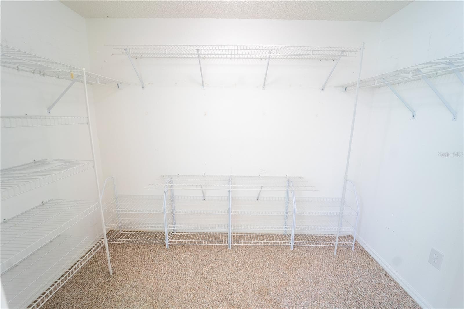 1 of 2 WALK IN CLOSETS IN PRIMARY - 13023 SAINT FILAGREE DR, RIVERVIEW