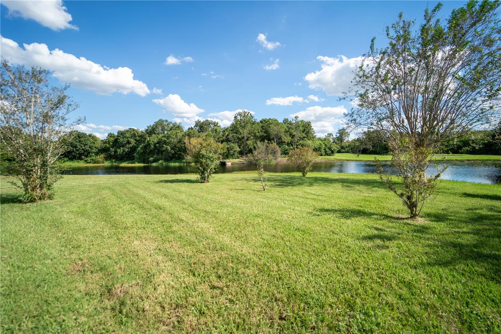 Single Family Residence at 13023 SAINT FILAGREE DR, RIVERVIEW, photo 67 of 83