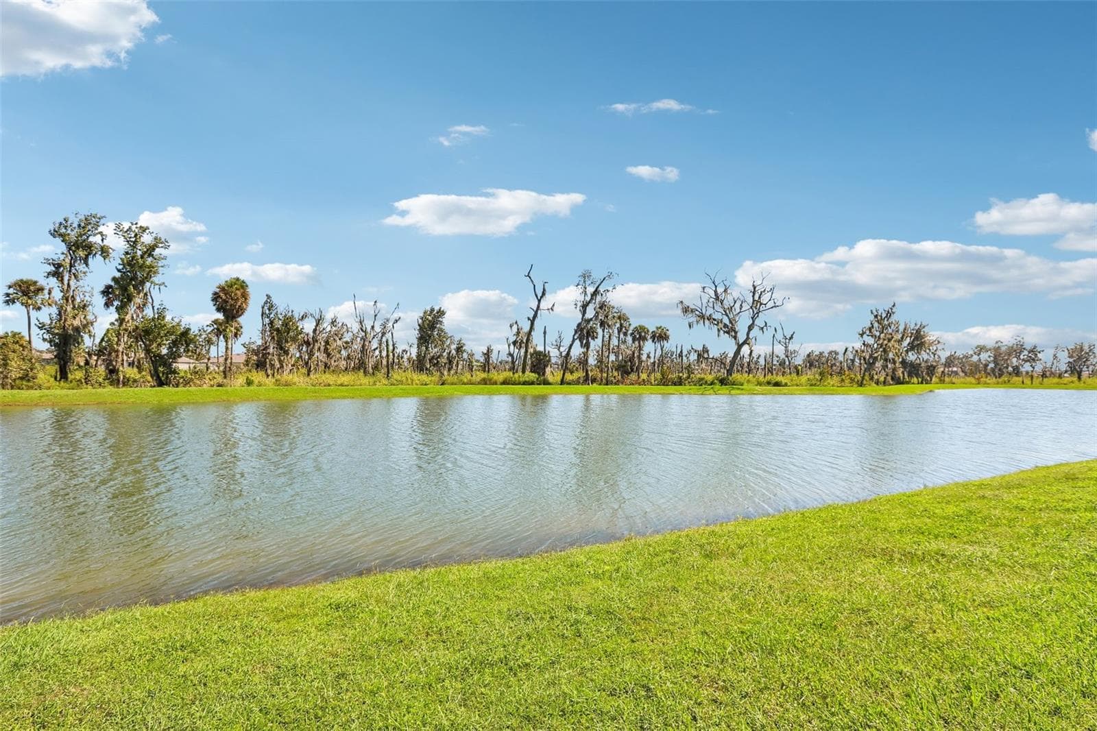 Single Family Residence at 4048 CAPRI COAST DR, PLANT CITY, photo 36 of 39