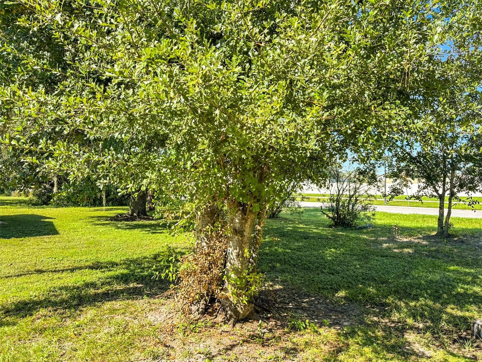 Manufactured Home at 2733 RIVKIN DR, KISSIMMEE, photo 15 of 53