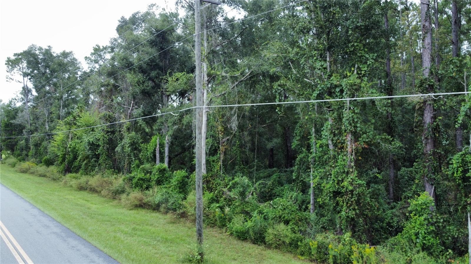 Land at SW SELLERS WAY LAKE CITY FLORIDA, LAKE CITY, photo 11 of 11