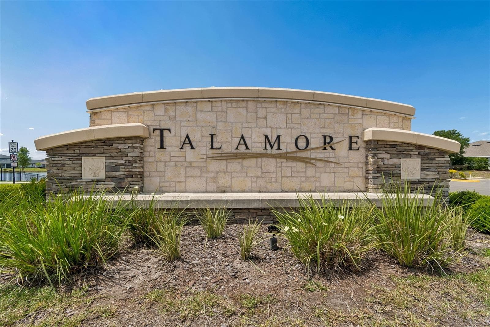 Single Family Residence at 7006 TALAMORE DR, WESLEY CHAPEL, photo 87 of 99