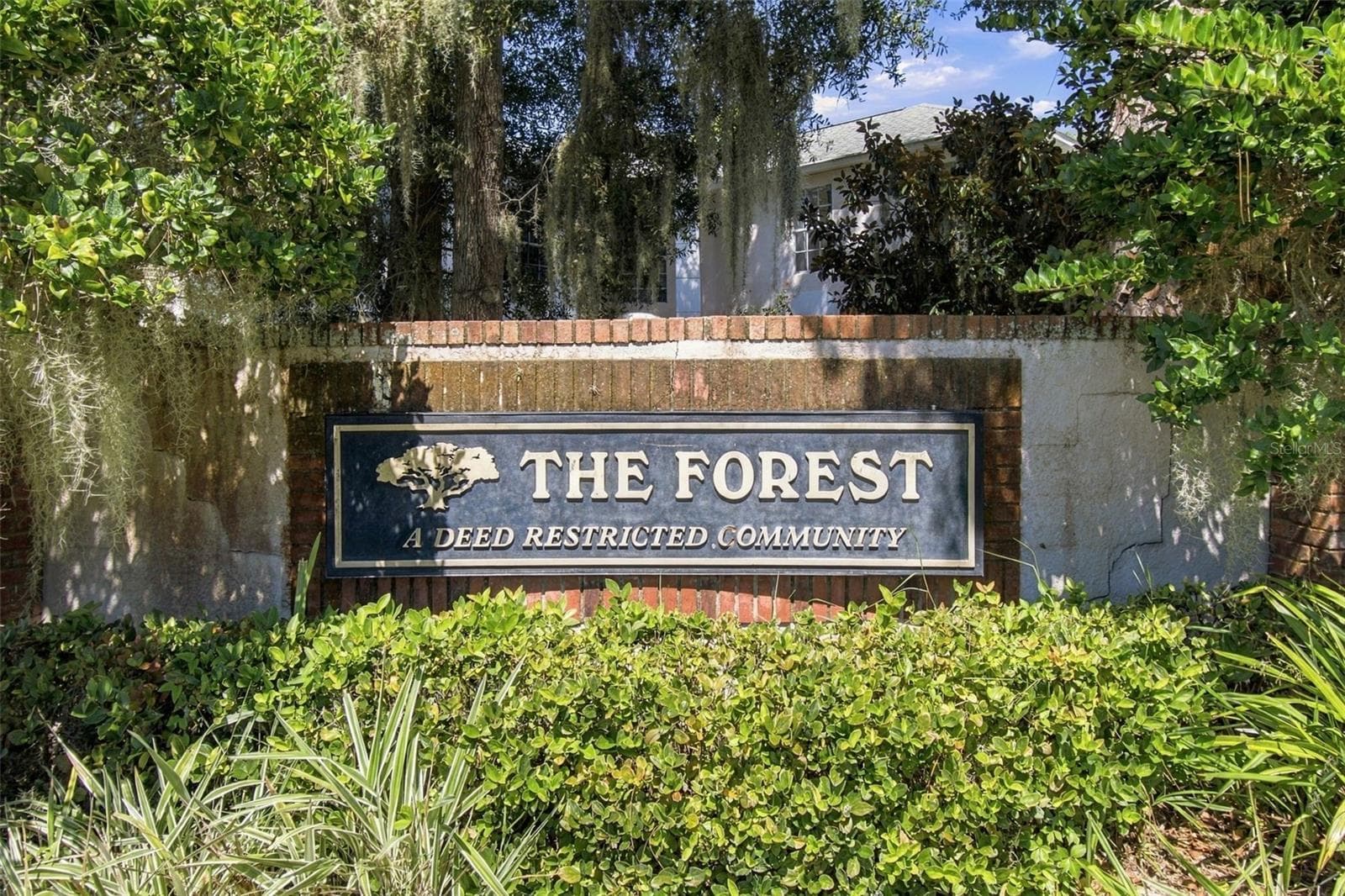 The Forest @ Countryway- - 8102 STONEFIELD, TAMPA