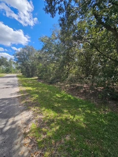 Land at Lot 4 FISHER TERRACE PL, OCKLAWAHA, photo 8 of 18