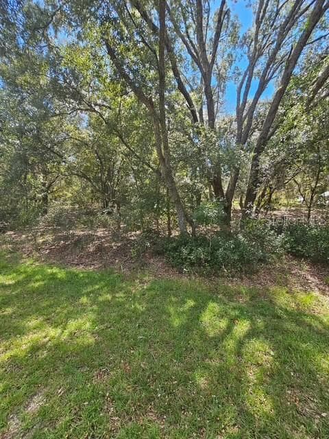 Land at Lot 4 FISHER TERRACE PL, OCKLAWAHA, photo 9 of 18