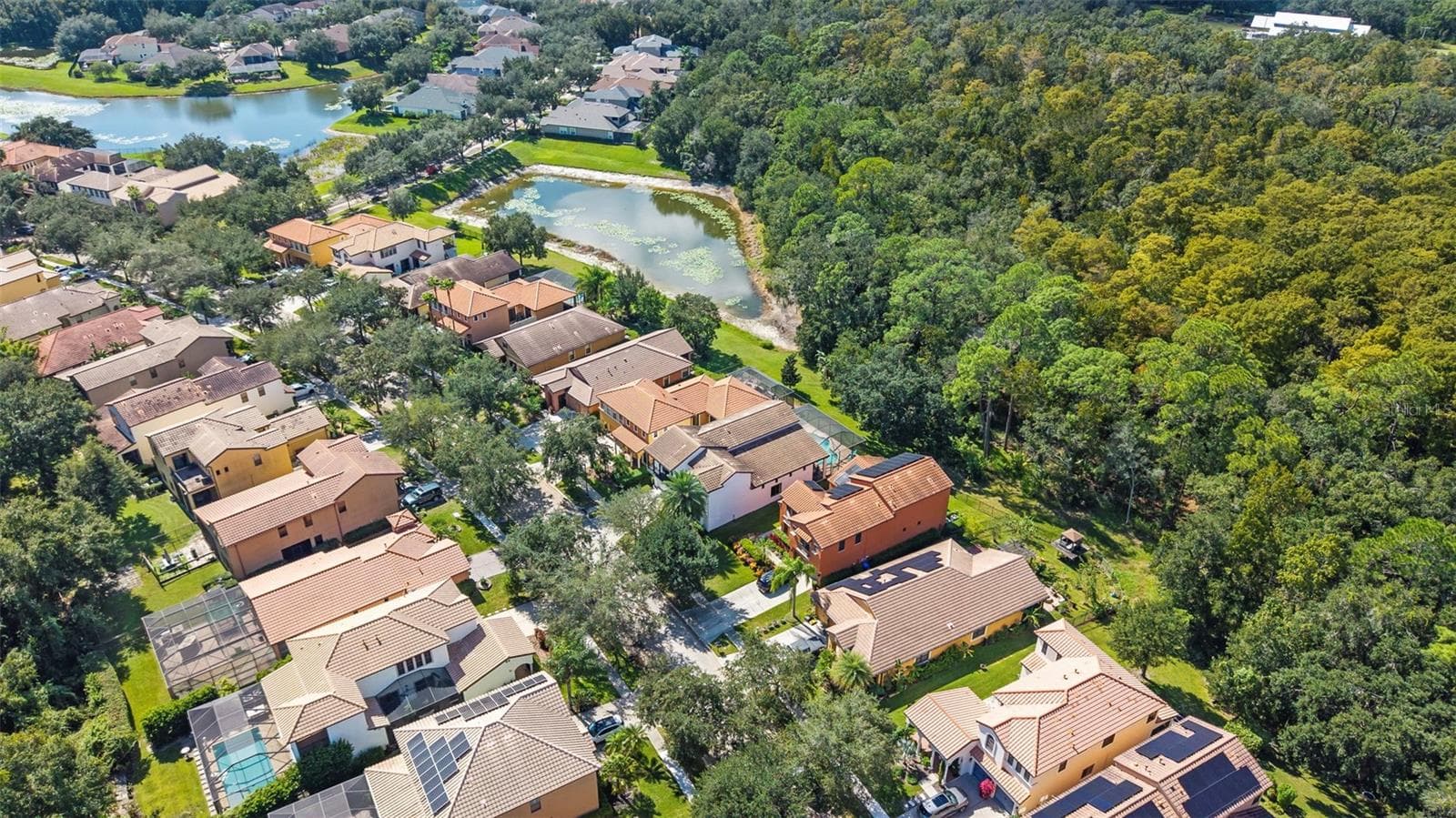 Aerial - 20316 HERITAGE POINT DR, TAMPA