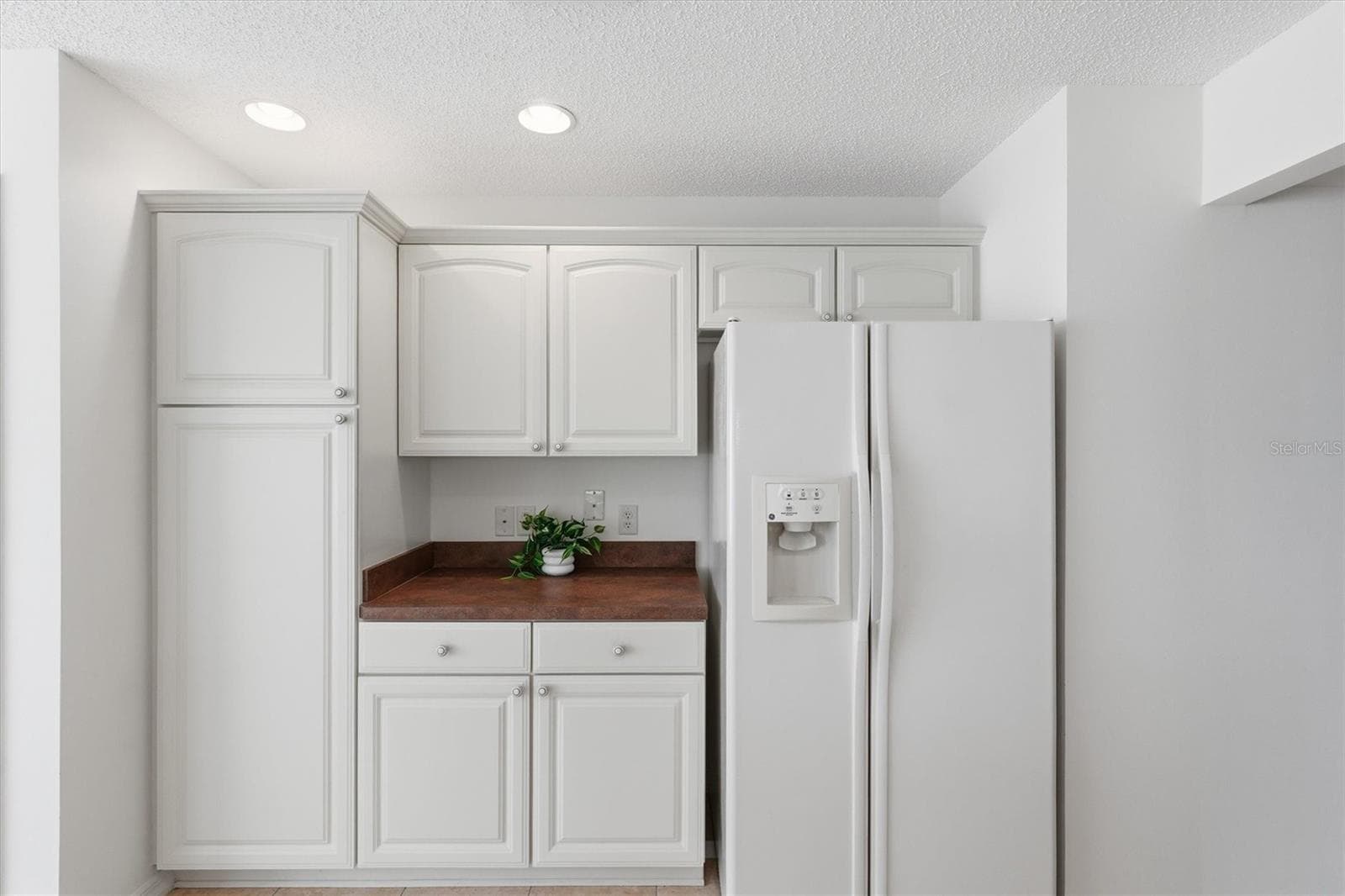 Cabinet Pantry with Pull Out Shelves. - 1563 EASTOVER TER, THE VILLAGES