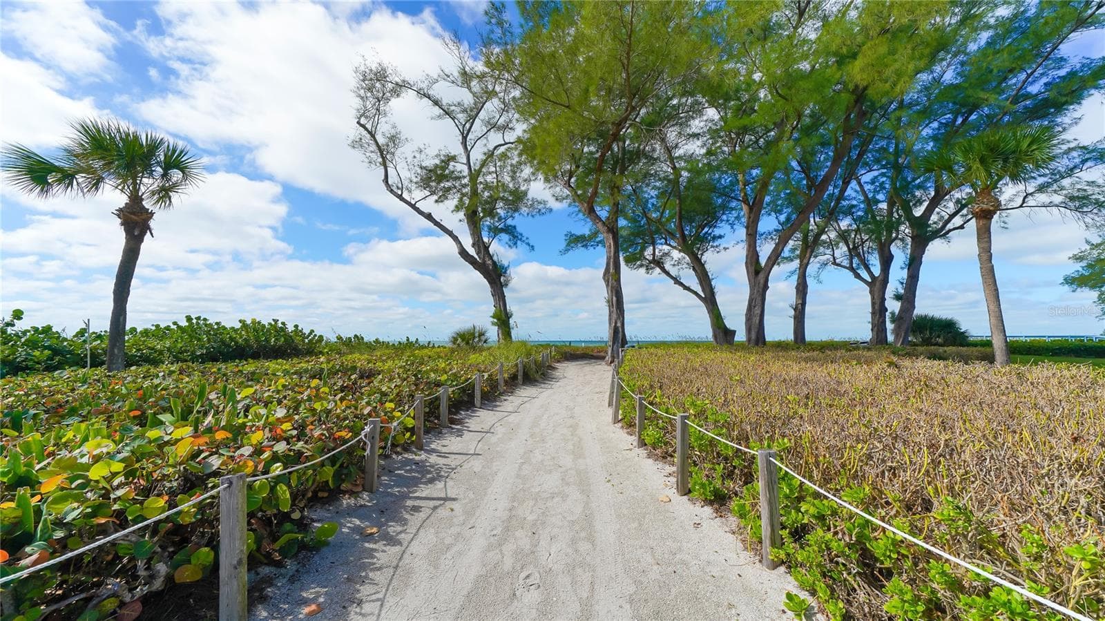 Deeded Beach Path! - 4800 GULF OF MEXICO DR #205, LONGBOAT KEY