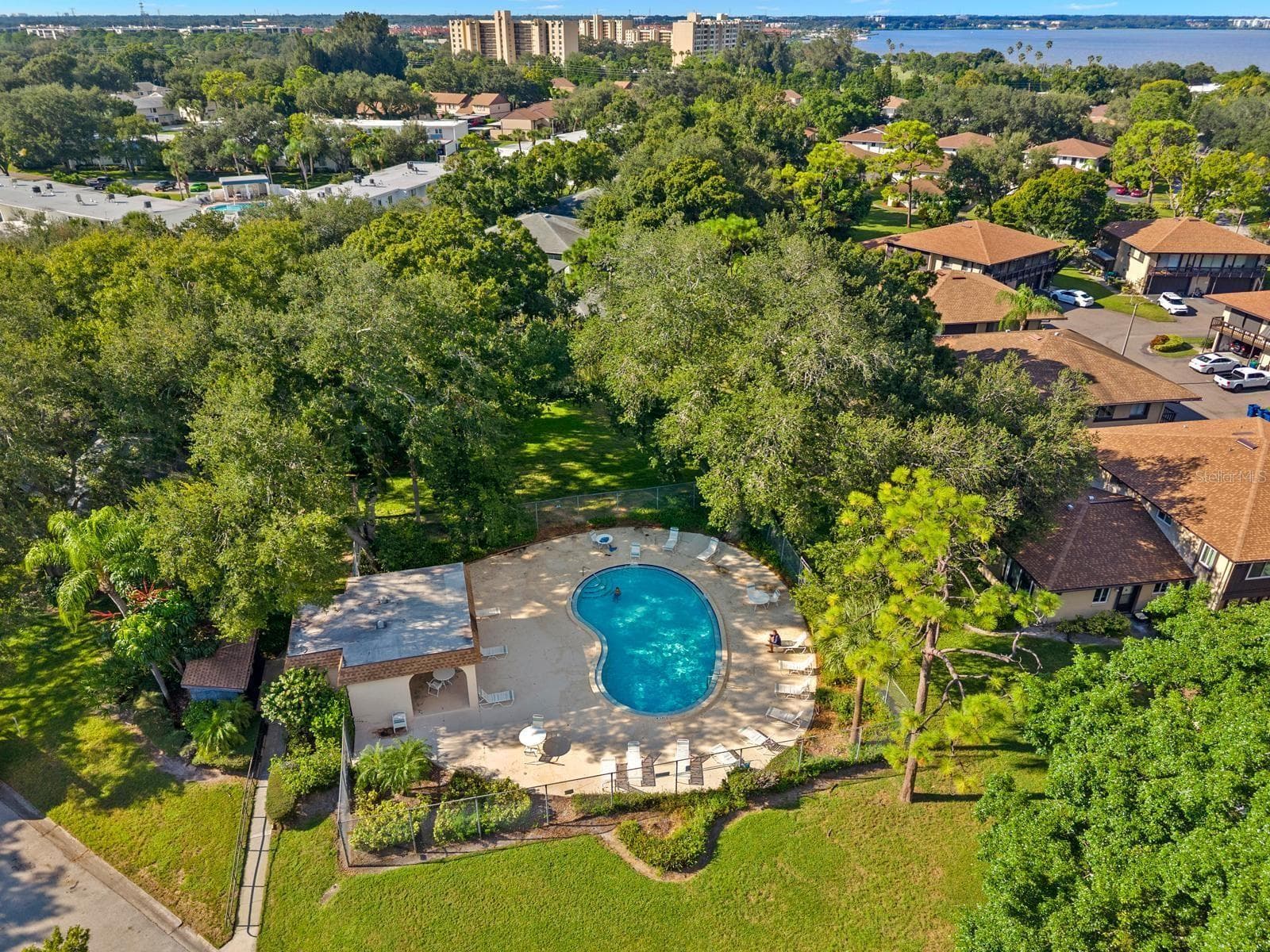 community pool - 2922 LICHEN LN #A, CLEARWATER