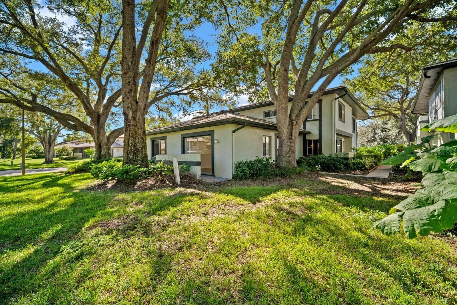 view from the pool area - 2922 LICHEN LN #A, CLEARWATER