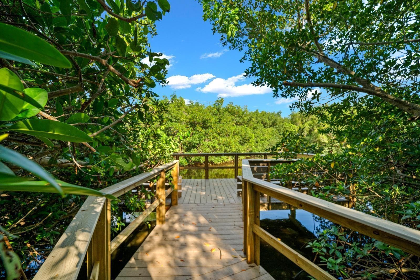 fishing dock - 2922 LICHEN LN #A, CLEARWATER
