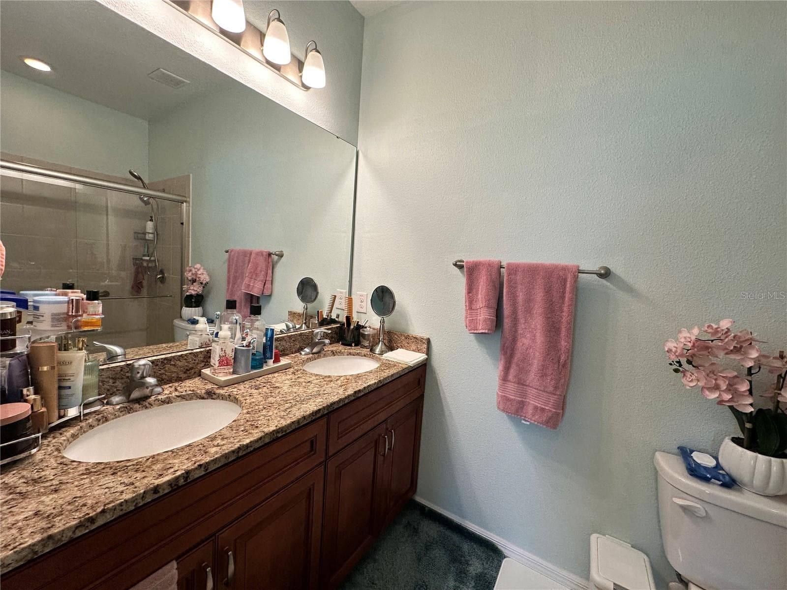 Main Bathroom - 26942 WHITE PLAINS WAY, LEESBURG