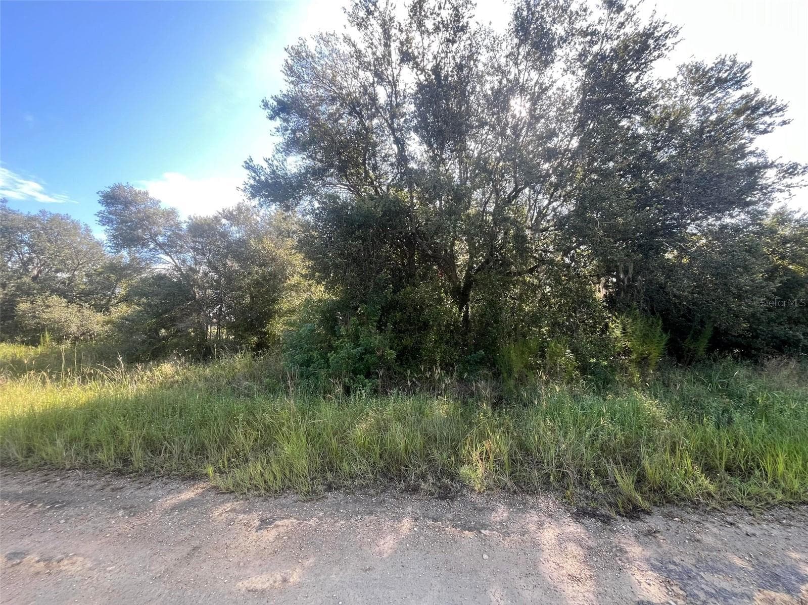 Land at 1702 MCARTHUR AVE, LEHIGH ACRES, photo 5 of 6