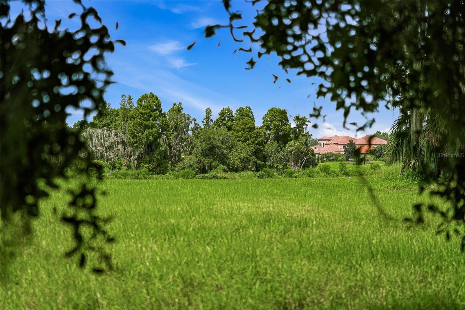 Land at 10710 OSPREY LANDING LOT 48 WAY, THONOTOSASSA, photo 32 of 74