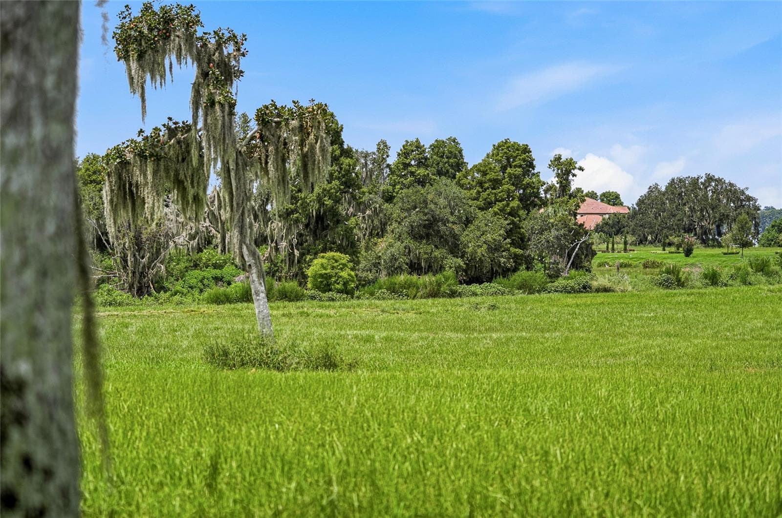 Land at 10710 OSPREY LANDING LOT 48 WAY, THONOTOSASSA, photo 34 of 74