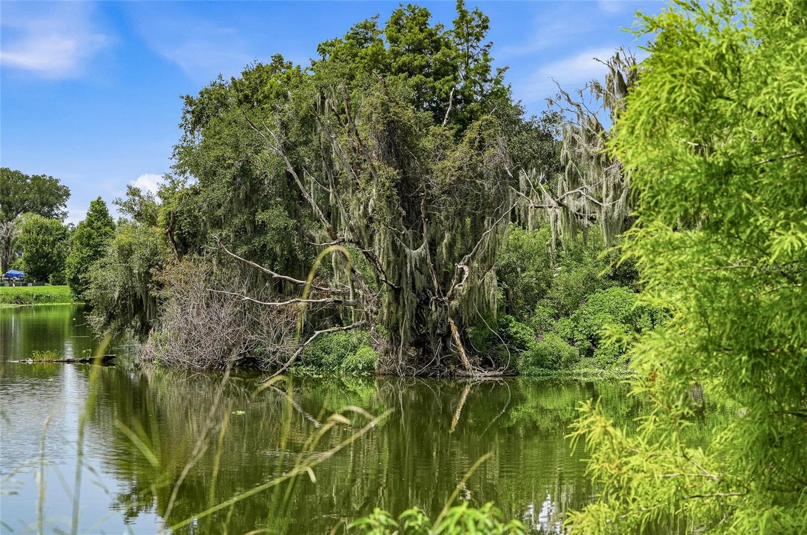 Land at 10710 OSPREY LANDING LOT 48 WAY, THONOTOSASSA, photo 36 of 74