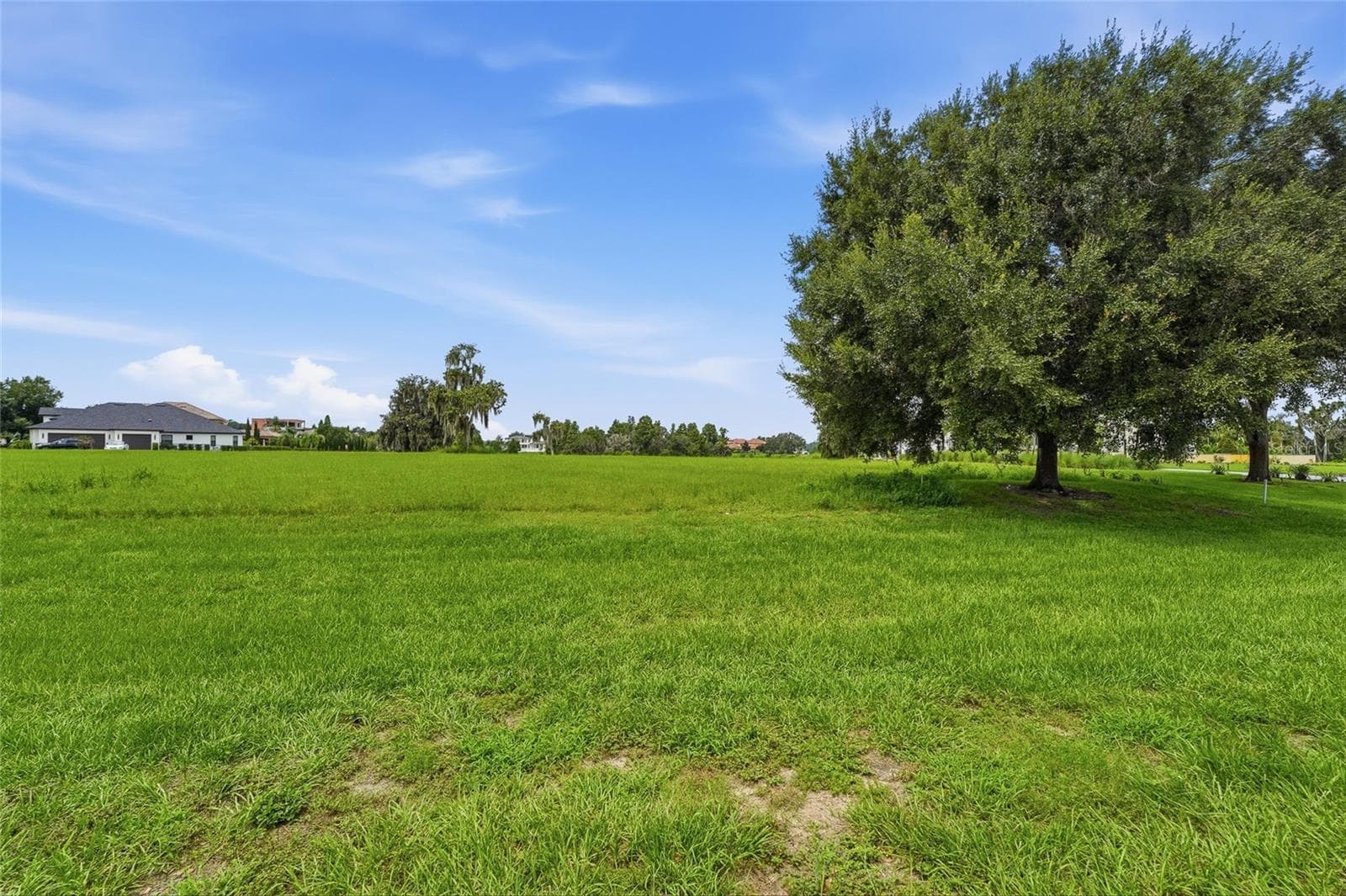 Land at 10710 OSPREY LANDING LOT 48 WAY, THONOTOSASSA, photo 39 of 74