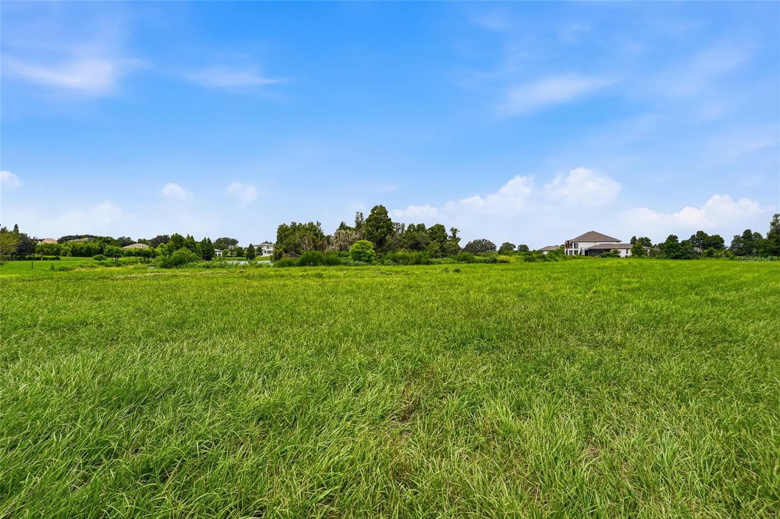 Land at 10710 OSPREY LANDING LOT 48 WAY, THONOTOSASSA, photo 44 of 74