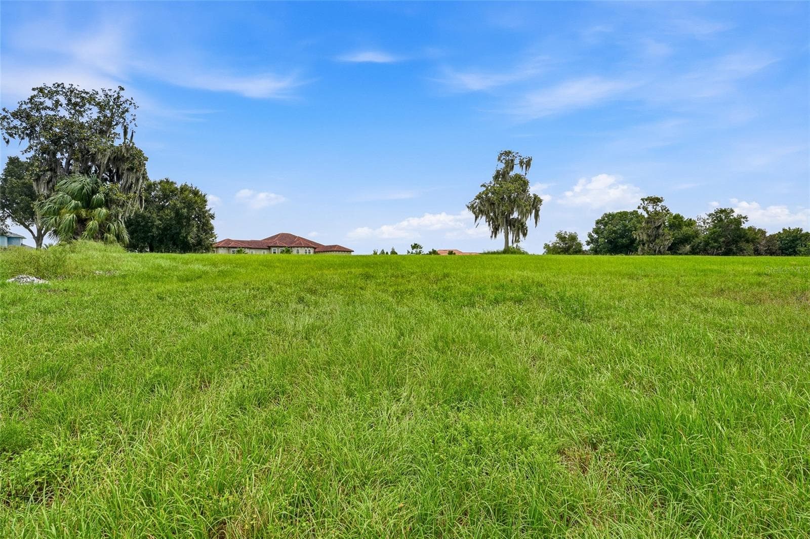Land at 10710 OSPREY LANDING LOT 48 WAY, THONOTOSASSA, photo 48 of 74