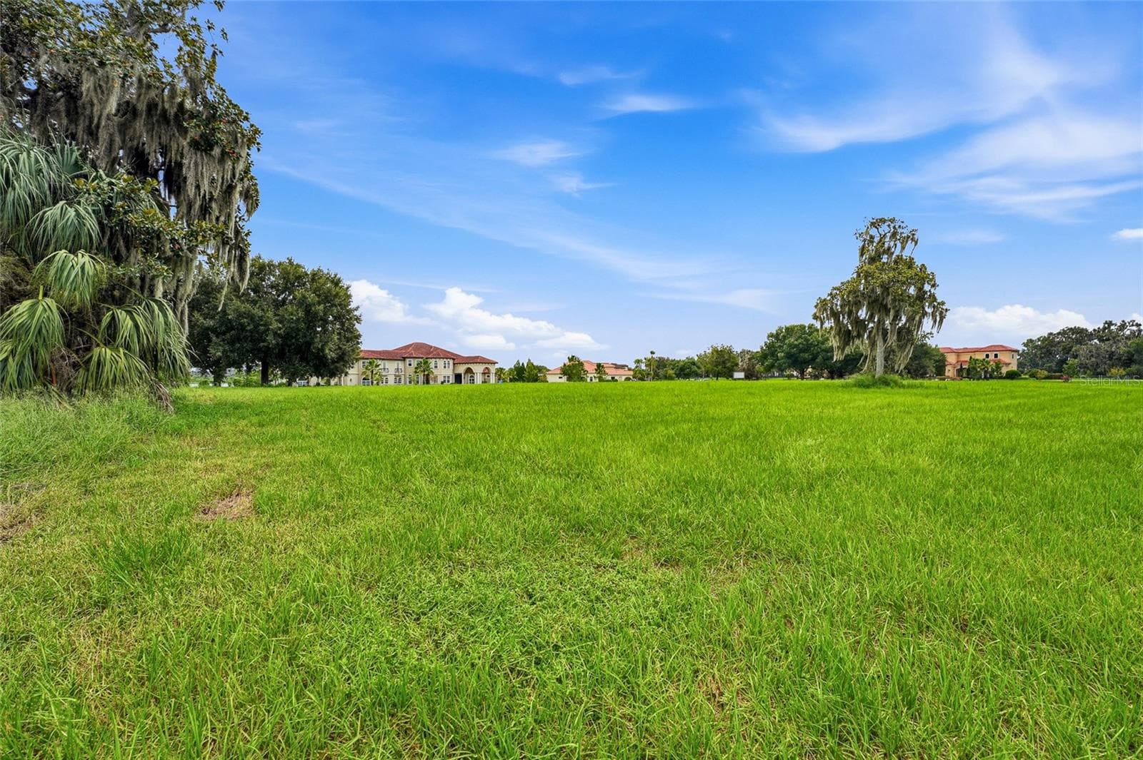 Land at 10710 OSPREY LANDING LOT 48 WAY, THONOTOSASSA, photo 49 of 74