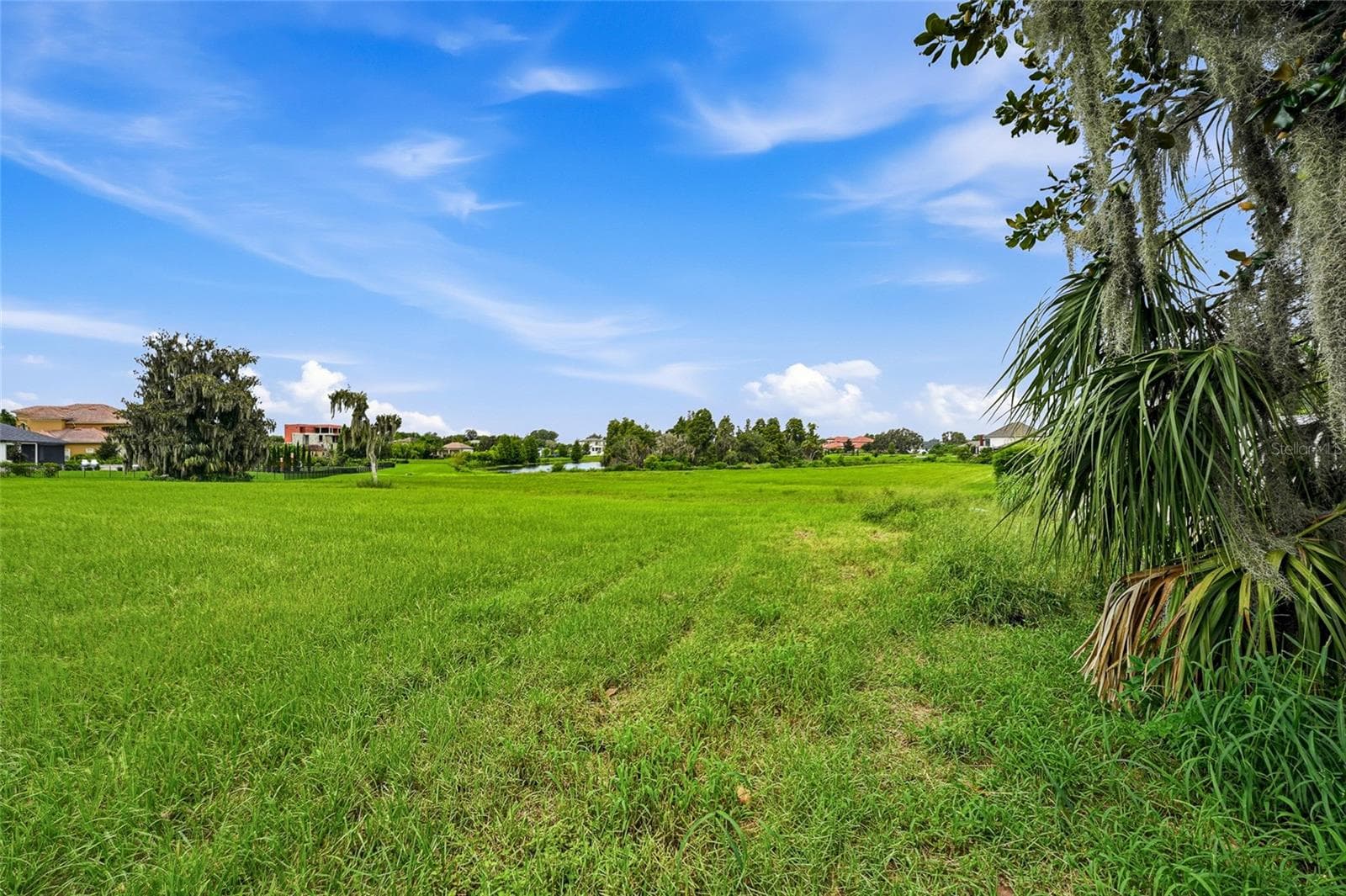 Land at 10710 OSPREY LANDING LOT 48 WAY, THONOTOSASSA, photo 50 of 74