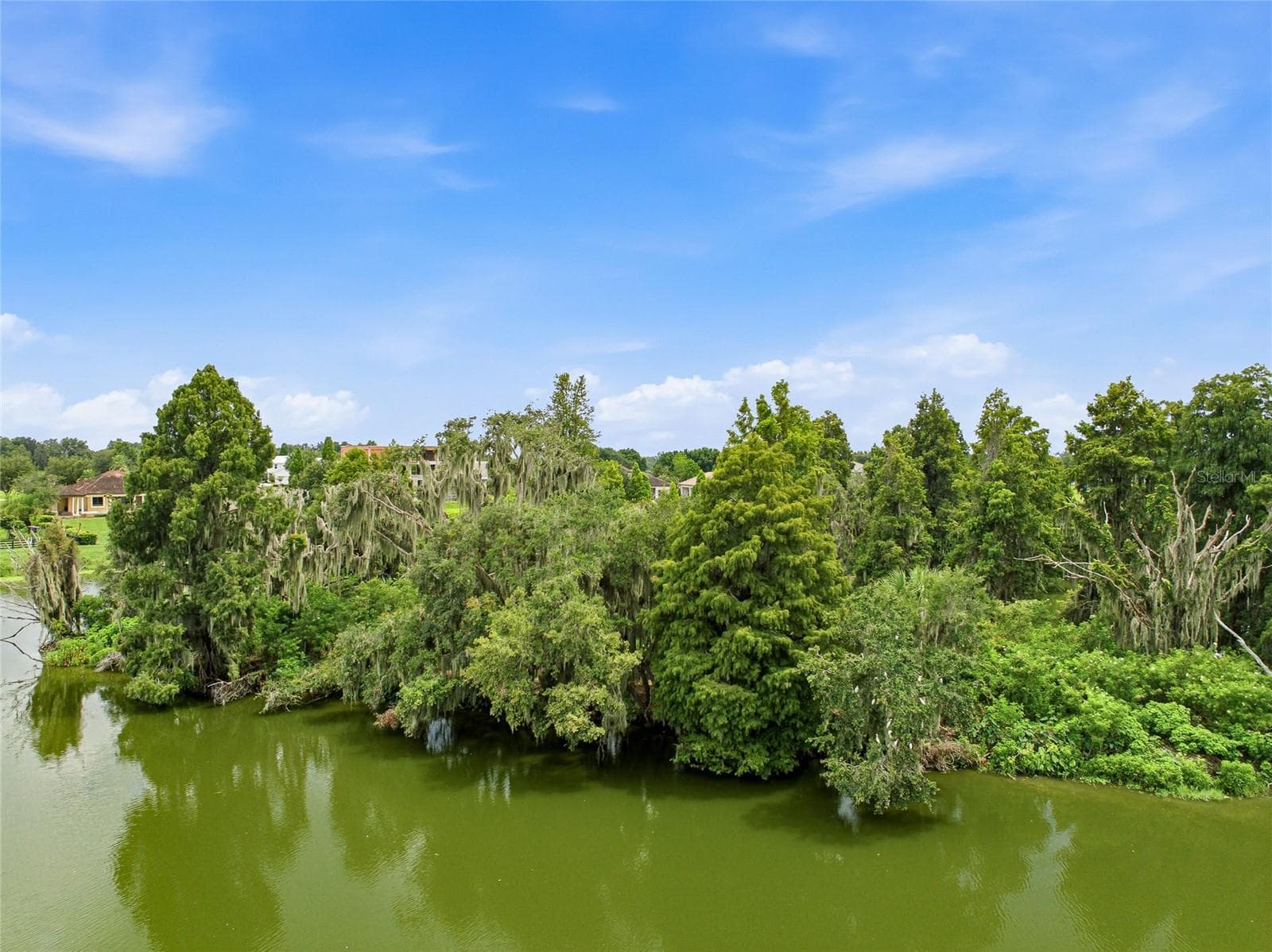 Land at 10710 OSPREY LANDING LOT 48 WAY, THONOTOSASSA, photo 52 of 74