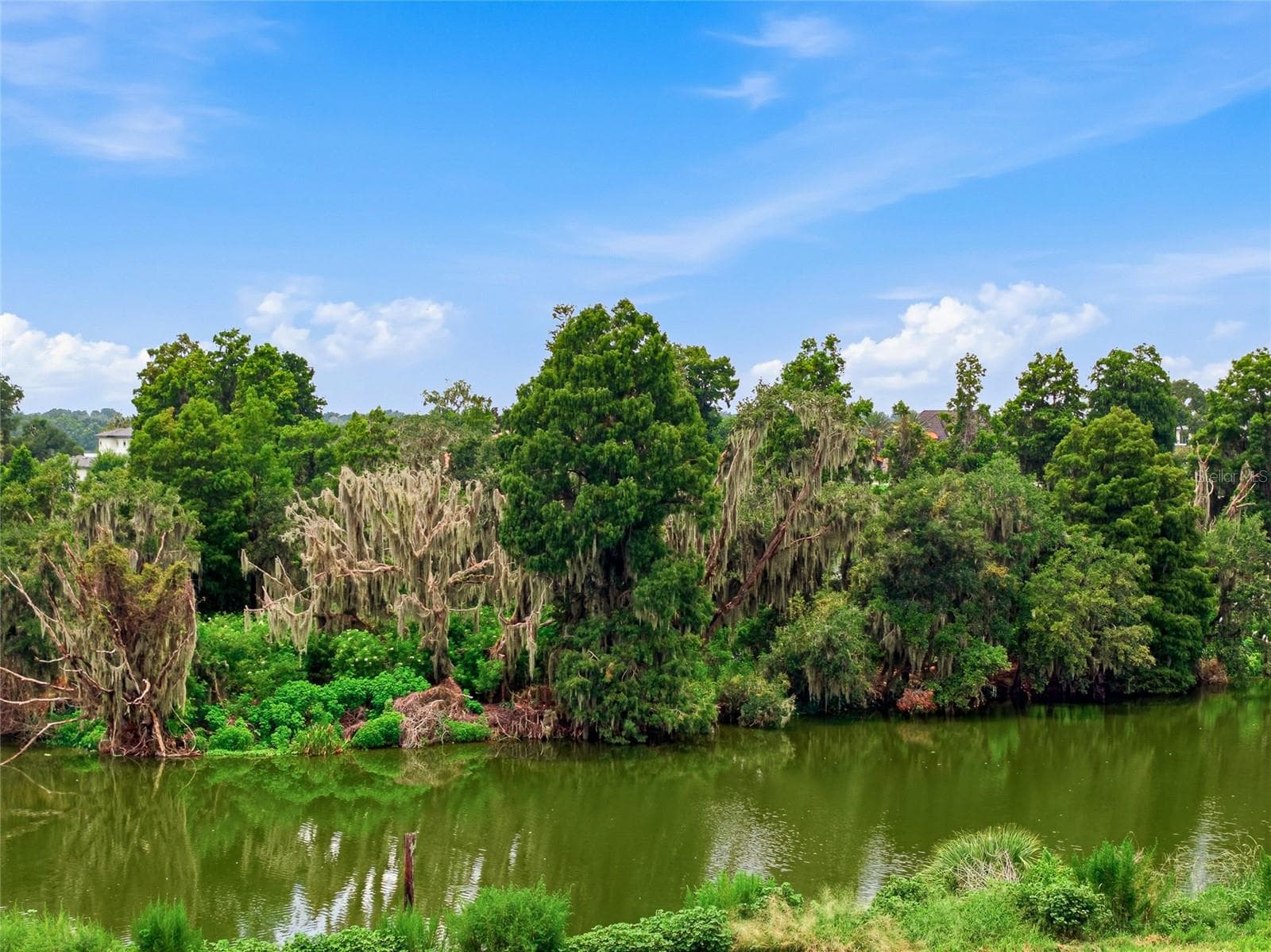 Land at 10710 OSPREY LANDING LOT 48 WAY, THONOTOSASSA, photo 53 of 74
