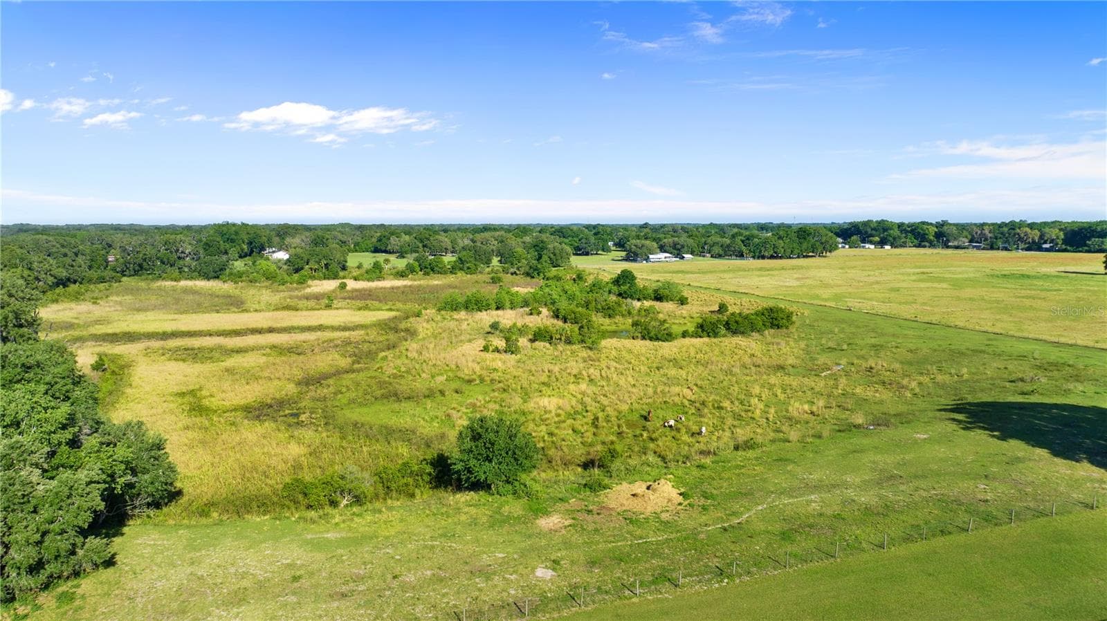 Land at 10710 OSPREY LANDING LOT 48 WAY, THONOTOSASSA, photo 59 of 74